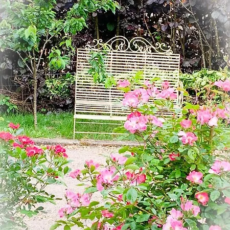 招待所 Isabelle's Rosegarden